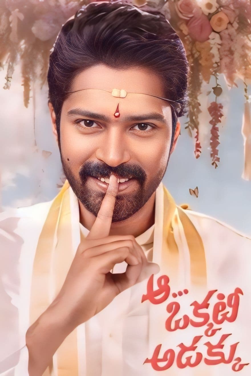 Aa Okkati Adakku Hindi Dubbed Movie Poster (2024)