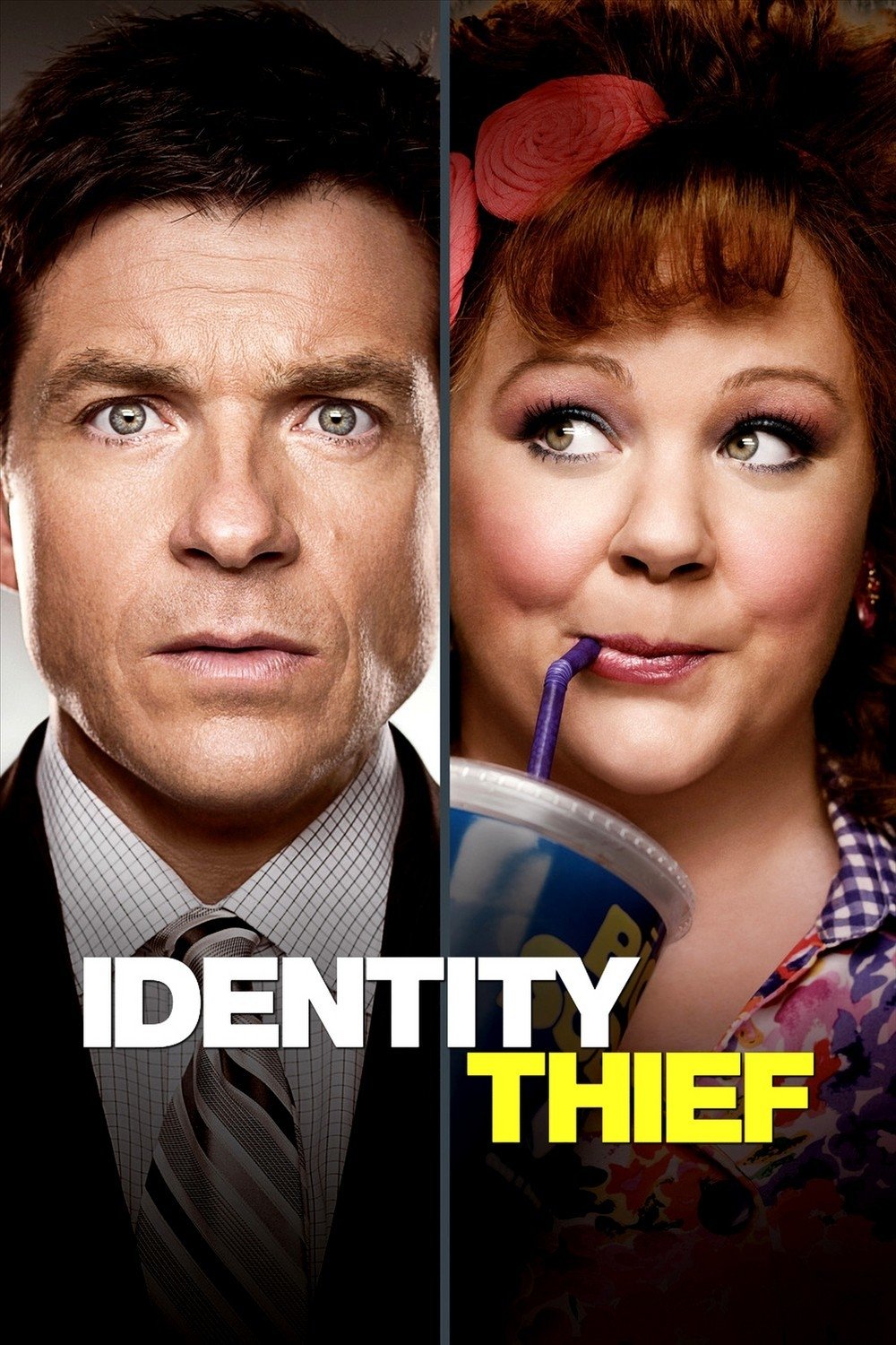 Identity Thief Hindi Dubbed Movie Poster (2013)